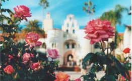 flowers with Hepner Hall in background
